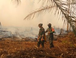 Tak Kenal Lelah Para Babinsa Koramil 1206-17/Silat Hulu Berjibaku Padamkan Kobaran Api Di Desa Nanga Dangkan
