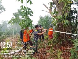 Deteksi 1 Hotspot Di Desa Bebatung Koramil 1210-03/Mandor Bergerak Cepat Cegah Karhutla Meluas