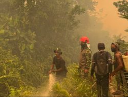 Danrem 121/Abw Turun Langsung Padamkan Karhutla Di Kabupaten Ketapang