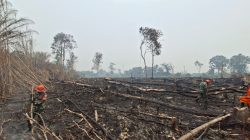 Koramil 1204-02/Sekayam Padamkan 10 Titik Kebakaran Lahan Di Desa Sungai Tekam