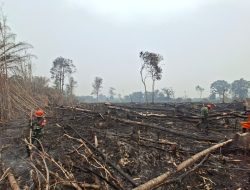Koramil 1204-02/Sekayam Padamkan 10 Titik Kebakaran Lahan Di Desa Sungai Tekam