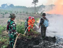 TNI Terus Lakukan Penanganan Dan Patroli Pencegahan Karhutla Di Wilayah Kodim 1205/Sintang