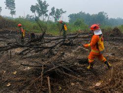Koramil 1204-20/Jangkang Lakukan Pemadaman Karhutla Di Desa Pisang