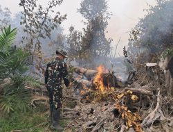 Gotong Royong Padamkan Karhutla Babinsa Bunut Hilir Bersama Polsek Boyan Tanjung Dan PT SBE Bergerak Cepat Di Desa Teluk Geruguk