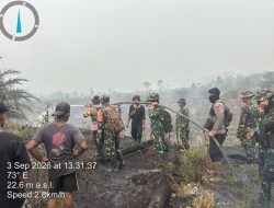 Patroli Gabungan Padamkan Karhutla Di TWA Nibung Paloh Luas Lahan Terbakar Capai 4 Hektare