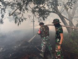 Api Mengamuk Di Tiga Kelurahan Babinsa Koramil 03/Skh Dan Tim Gabungan Turun Tangan Selamatkan Lahan