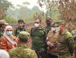 Upaya Baru Restorasi Lahan Gambut Untuk Penanganan Karhutla Di wilayah Kalimantan
