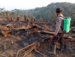 Polsek Sayan Gerak Cepat Tangani Karhutla Lima Hektare Lahan Terbakar