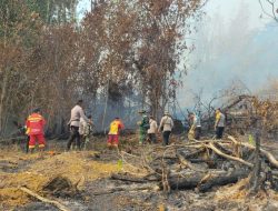 Dandim 1204/Sanggau Apresiasi Gerak Cepat Tim Gabungan Tangani Karhutla Di Sekayam