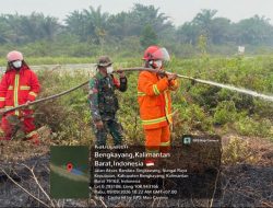 Gerak Cepat Babinsa Dan Satgas Titik Api Karhutla Di Pangmilang Berhasil Dipadamkan