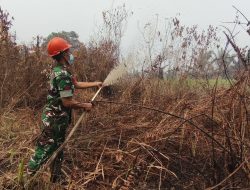 Koramil 1204-01/Kapuas Padamkan Karhutla Di Desa Entakai Luas Lahan Terbakar 0,3 Hektare