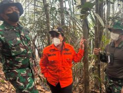 Sinergi Kodim Sanggau  Polri Dan Pemda Kendalikan Karhutla Di Bukit Mungguk Hujan Mas Tayan Hilir