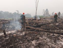 Koramil 1204-01/Kapuas Padamkan Dua Titik Karhutla Di Desa Lape