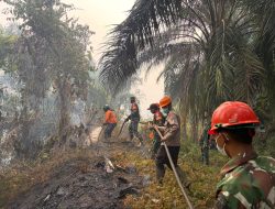 Sinergitas Bersama Polsek Sayan Bersama Koramil Dan PT.Palma Padamkan Api