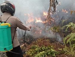 Gerak Cepat Cegah Meluas Polsek Ella Hilir Ground Check dan Padamkan Titik Api