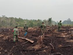 Cegah Karhutla Koramil 18/Puring Kencana Gencarkan Patroli Di Wilayah Rawan