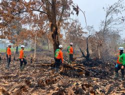 Polda Kalbar Intensif Pantau Karhutla Teluk Kapuas Terpantau Aman