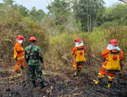 Koramil 1204-15/Sekadau Hilir Padamkan Tiga Titik Karhutla Di Dusun Sungai Kunyit