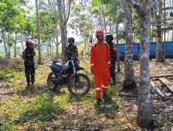 Karhutla Mengintai Kodim 1206/Putussibau Gencarkan Patroli Di Titik Rawan Ini Respons Dandim