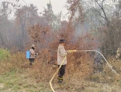 Api Padam Lahan Didinginkan Satgas Polres Melawi Optimalkan X-Fire