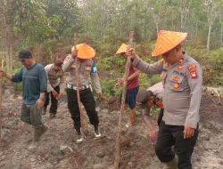 Dukung Ketahanan Pangan Polri Bersinergi Dengan Kelompok Tani Tanam Jagung Hibrida