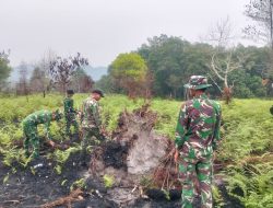 Babinsa Temajuk Koramil 08/Paloh Lakukan Patroli Lahan Antisipasi Karhutla