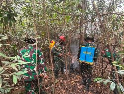 Deteksi 1 Hotspot Koramil 1204-07/Tayan Hilir Bergerak Lakukan Pemadaman Serta Intensikan Patroli