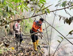 Gerak Cepat Brimob Kalbar Karhutla Di Sintang Ditangani Sebelum Meluas
