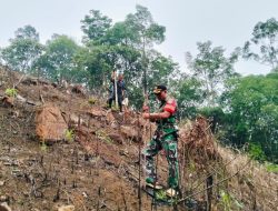 Babinsa Batang Lupar Bersama Masyarakat Laksanakan Tanam Padi Dengan Cara Menugal Di Desa Lanjak Deras