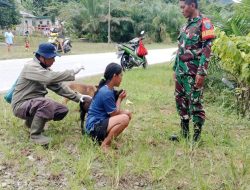 Cegah Penyebaran Rabies Babinsa Seberuang Bersama Mantri Tani Vaksinasi Hewan Peliharaan Warga Desa Bati