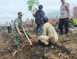 Pulihkan Hijaunya Bumi Pj. Danramil Batang Lupar Bersama Forkopimcam Tanam Pohon Di Desa Lanjak Deras