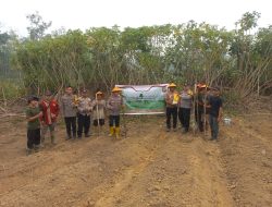 Polsek Nanga Pinoh Bersama Poktan Laman Beringin II Tanam Jagung Hibrida