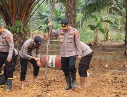 Dukung Swasembada Pangan Nasional Polres Melawi Tanam Jagung Hibrida Di Lahan Petani Binaan