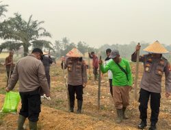 Dukung Ketahanan Pangan Waka Polres Melawi Bersama PJU Dan Kelompok Tani Tanam Terong, Semangka Serta Padi Gogo