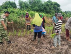 Babinsa Kodim 1206/Psb Berikan Motivasi Untuk Meningkatkan Ketahanan Pangan 