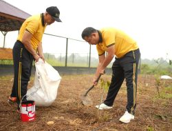 Green Policing Waka Polres Sintang Pimpin Penanaman Pohon Produktif Di Lahan Rusun Polri