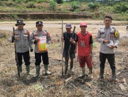 Dukungan Program Ketahanan Pangan Polsek Menukung Pelaksanaan Penanaman Jagung Hibrida