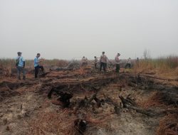 Cegah Munculnya Titik Api Patroli Lahan Bekas Karhutla Terus Diintensifkan