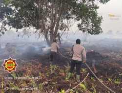 Operasi Aman Nusa II Brimob Polda Kalbar Berhasil Padamkan 3 Hektare Lahan Terbakar Di Manis Mata